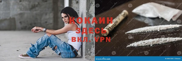 spice Новозыбков