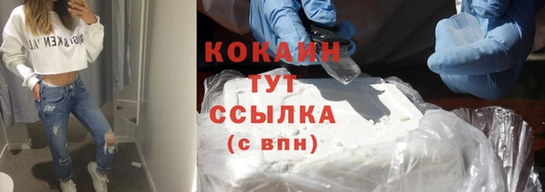 spice Новозыбков