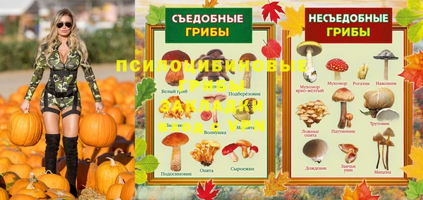 spice Новозыбков