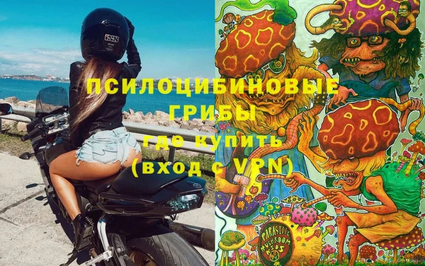 амфетамин Новодвинск