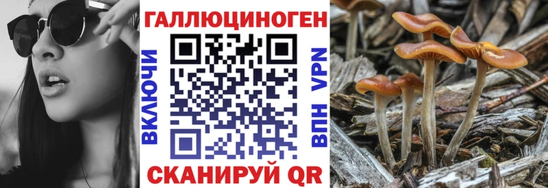 blacksprut сайт  Остров  Псилоцибиновые грибы MAGIC MUSHROOMS 